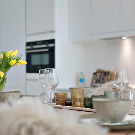 公寓 Fantastic Boho-style, Sunny New With Large Terrace And Stunning Sea-view 奥斯滕德
